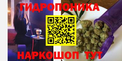 шишки Донецк