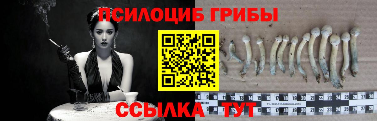Омск  Псилоцибиновые грибы Cubensis  Псилоцибиновые грибы прущие грибы  Вход с VPN 